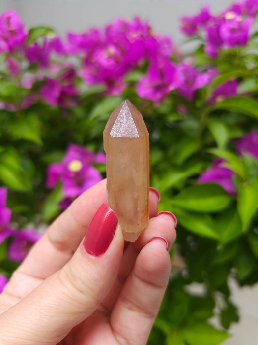 Casaco dos Sonhos - Dream Coat