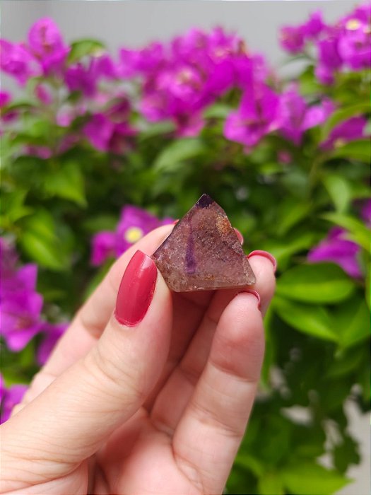 Casaco dos Sonhos - Dream Coat