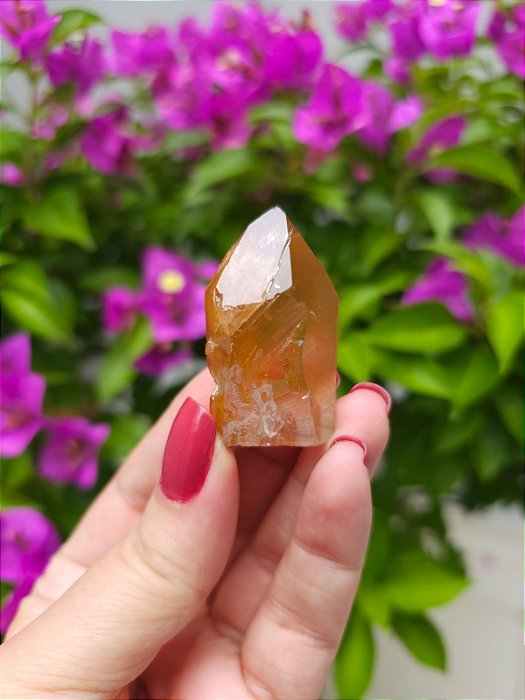 Casaco dos Sonhos - Dream Coat