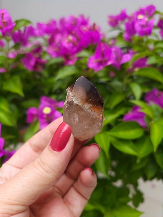 Casaco dos Sonhos - Dream Coat