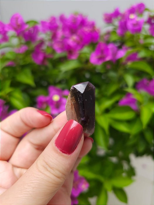 Casaco dos Sonhos - Dream Coat