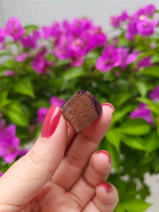 Casaco dos Sonhos - Dream Coat