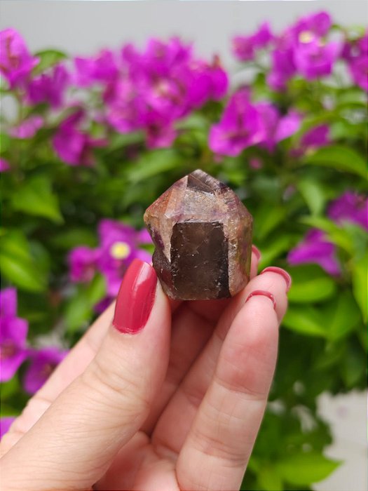 Casaco dos Sonhos - Dream Coat