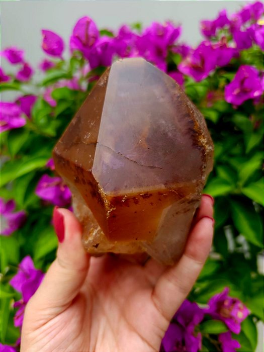 Casaco dos Sonhos - Dream Coat