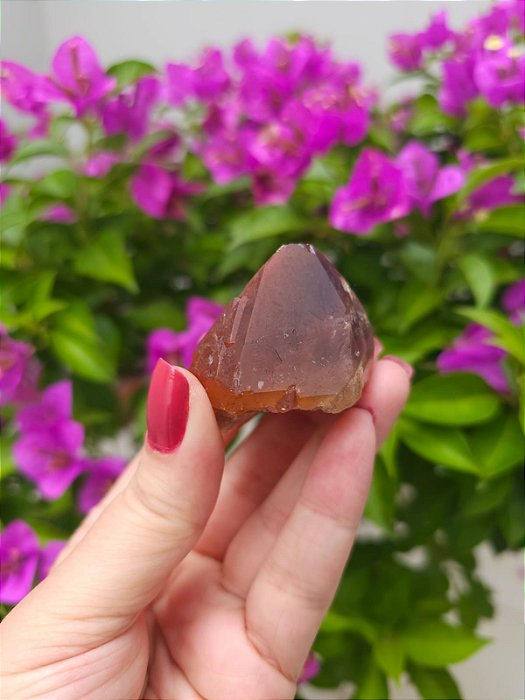 Casaco dos Sonhos - Dream Coat Trigônico