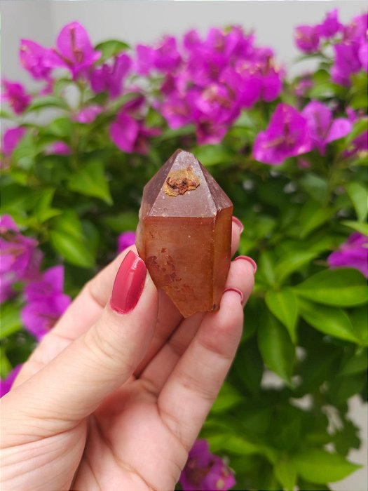 Casaco dos Sonhos - Dream Coat