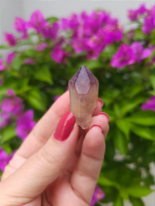 Casaco dos Sonhos - Dream Coat Ísis