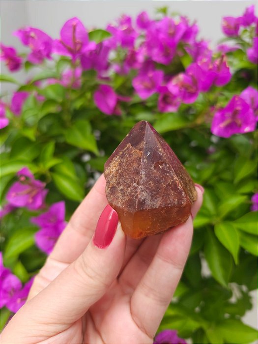 Casaco dos Sonhos - Dream Coat Trigônico