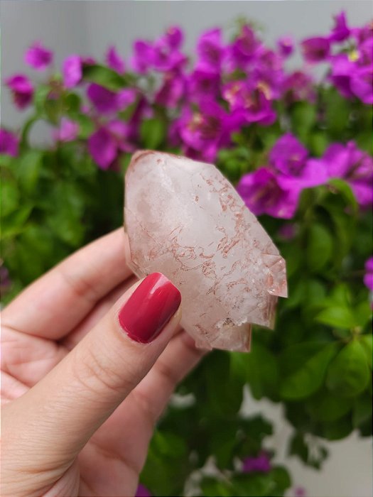 Autocurado ET Pink