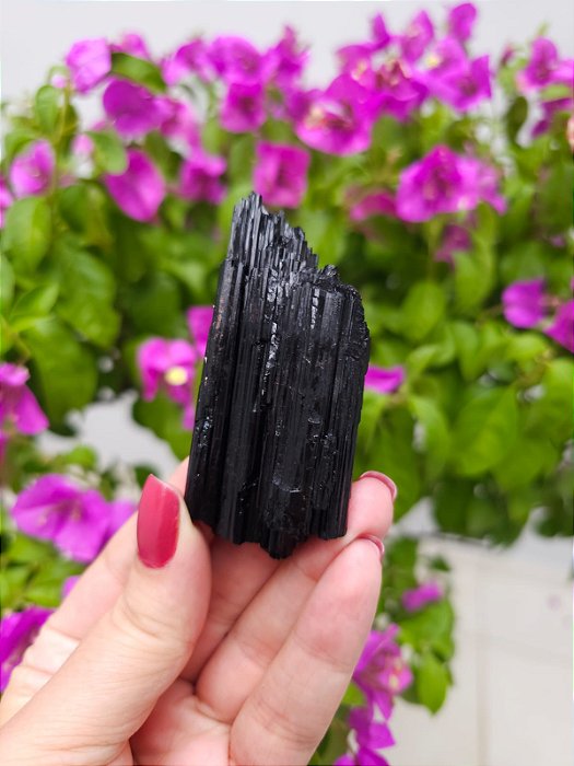 Turmalina Negra