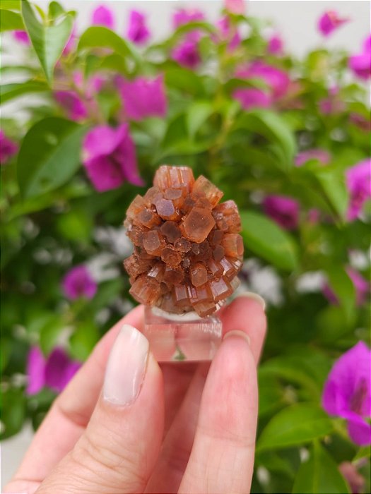 Aragonita Sputnik