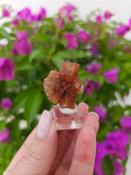 Aragonita Sputnik