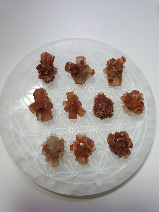 Lote Aragonita Sputnik 10 peças