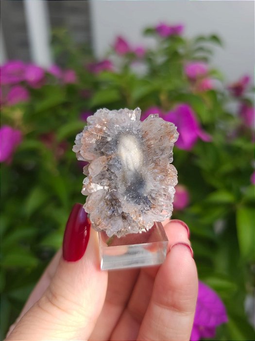 Galáxia de Calcedônia