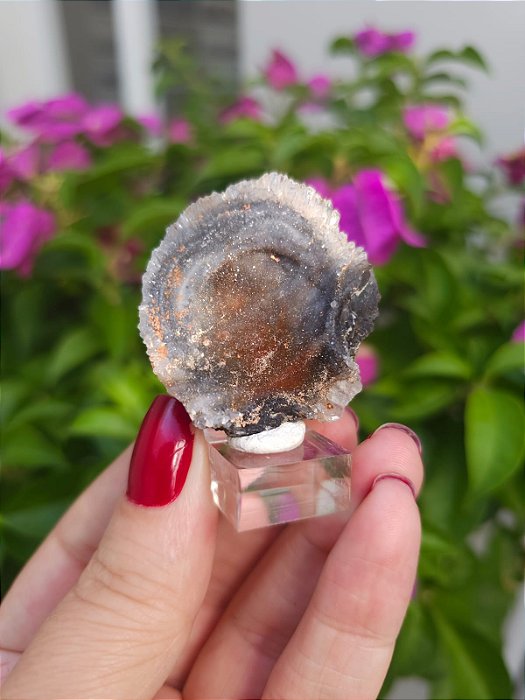 Galáxia de Calcedônia