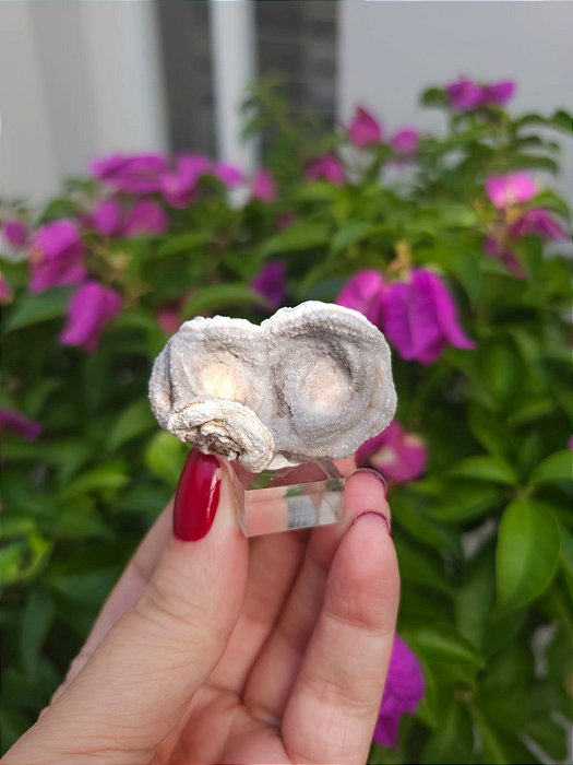 Galáxia de Calcedônia