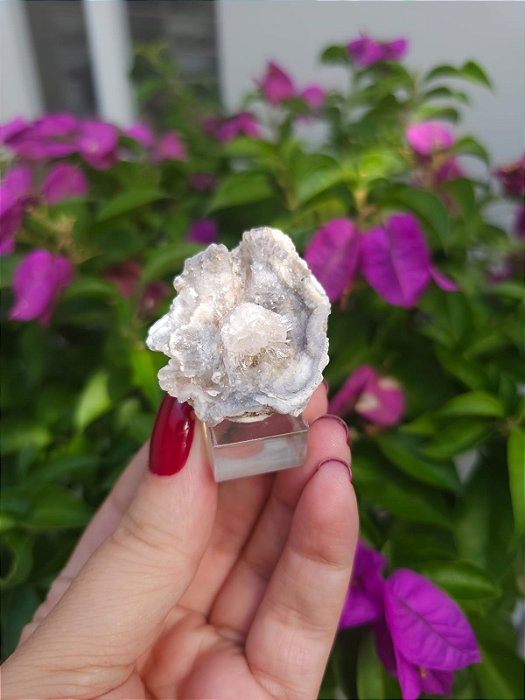 Galáxia de Calcedônia