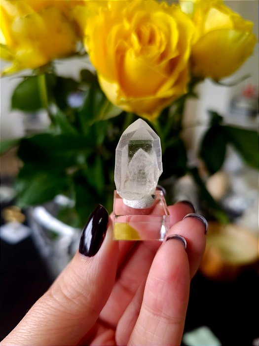 Mestre Phantom Lemuriano