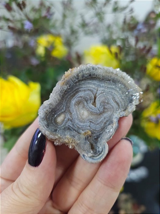 Galáxia de Calcedônia