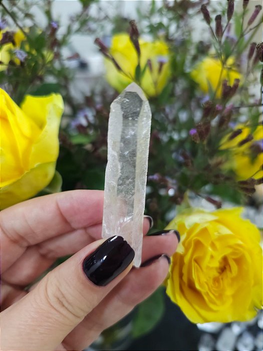 Mestre Chave e Gravado