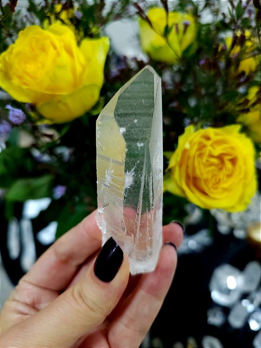 Cristal Gravado e Semente Estelar