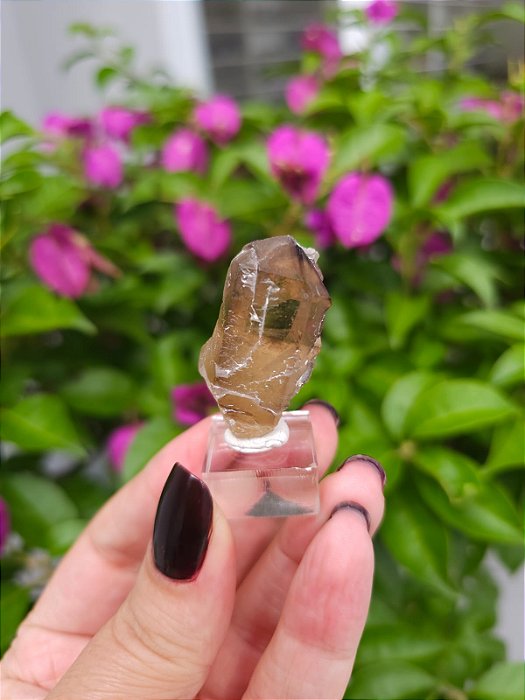 Citrino Elestial  em Formação Natural