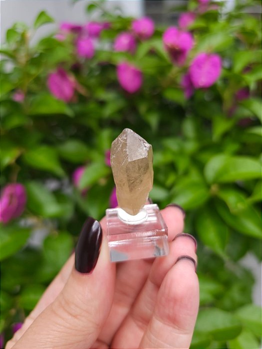 Citrino Elestial  em Formação Natural