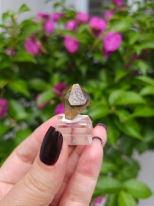 Citrino Elestial  em Formação Natural