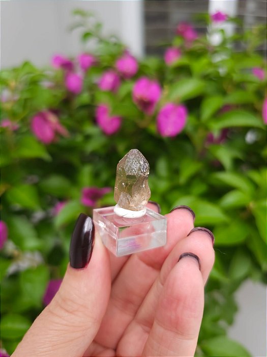 Citrino Elestial  em Formação Natural