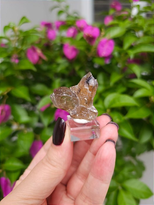 Citrino Elestial  Janela da Alma em Formação Natural