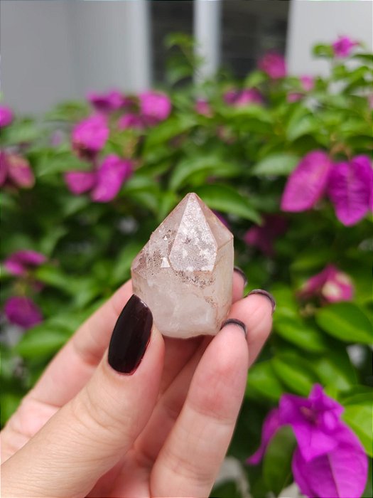 Formação Pink Ísis