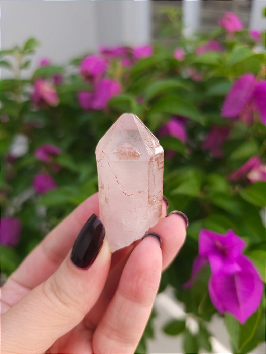 Formação Pink Ísis