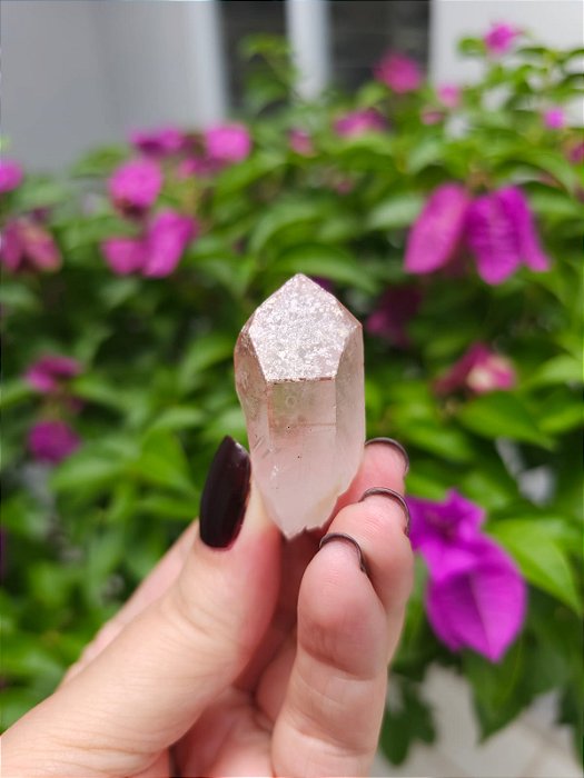 Formação Pink Canalizador