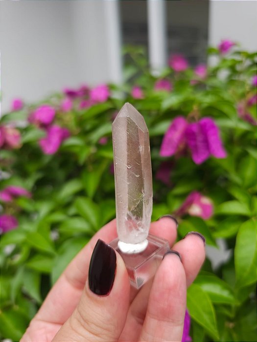 Ponta Quartzo Violeta Natural Semente Estelar