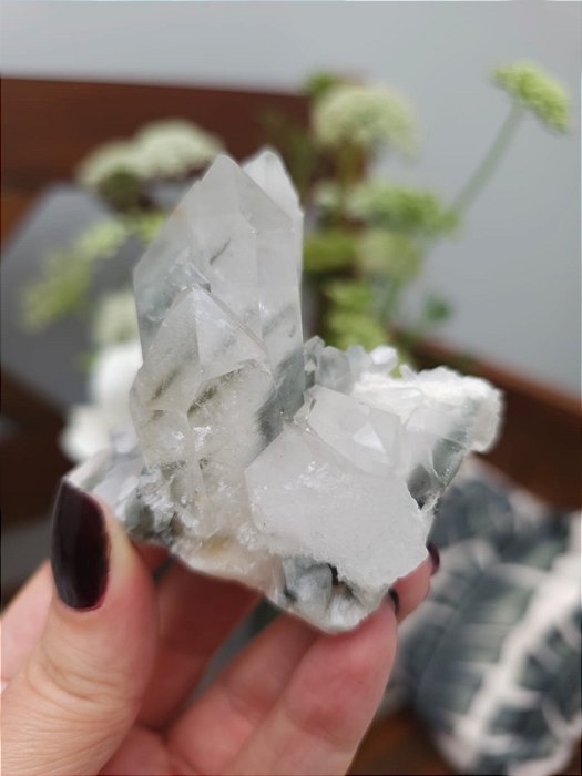 Drusa Blue Tara com Ísis