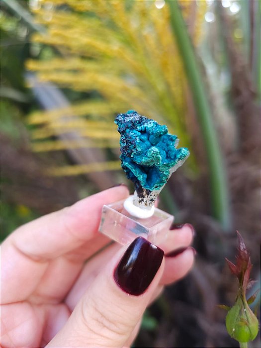 Crisocola no Quartzo