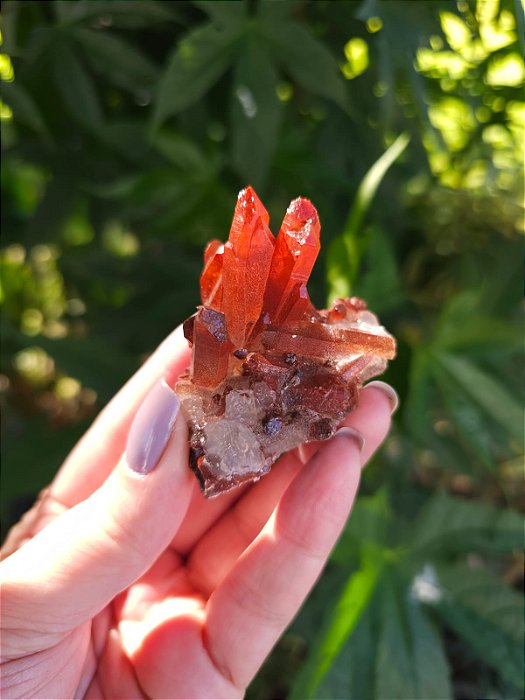Drusa Quartzo Vermelho