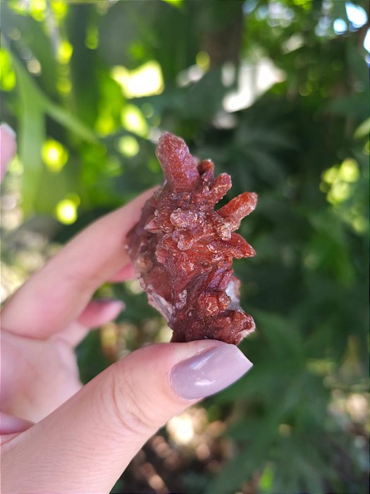 Drusa Quartzo Vermelho