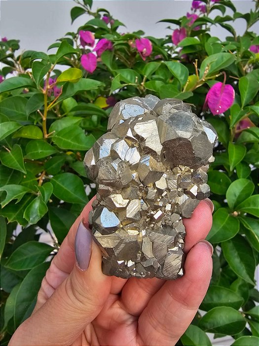 Drusa Pirita Peruana