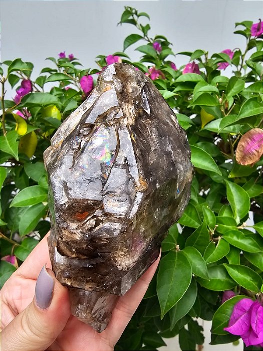 Elestial com Arco-Íris