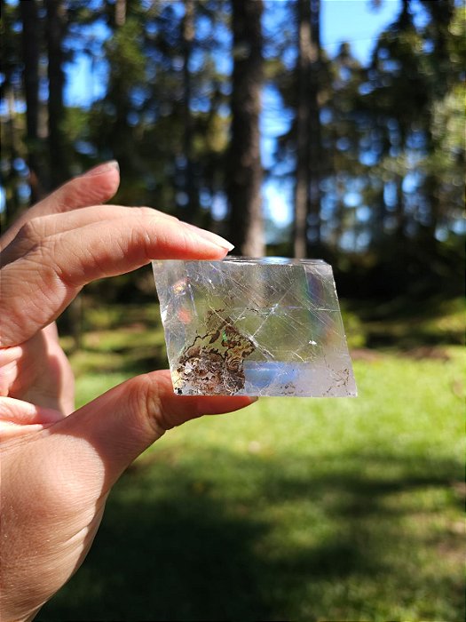 Calcita Rombóide com Dendritas