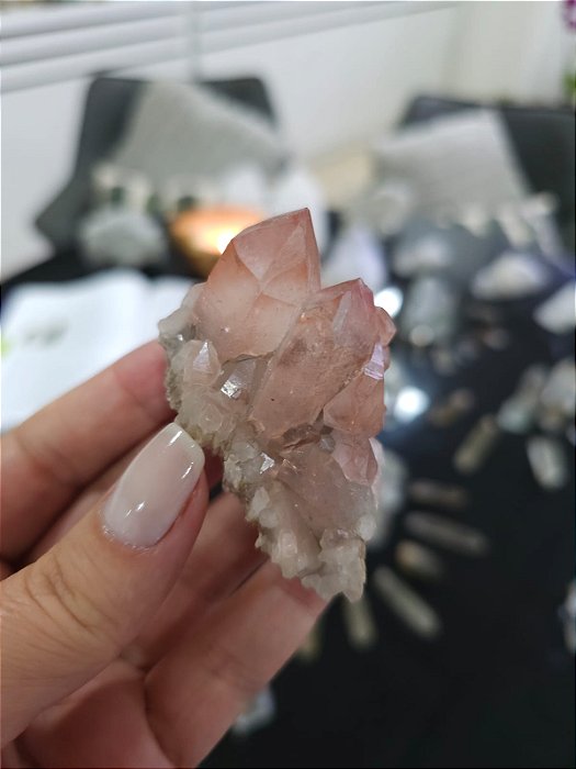 Drusa Pink Ísis e Elo do Tempo Futuro