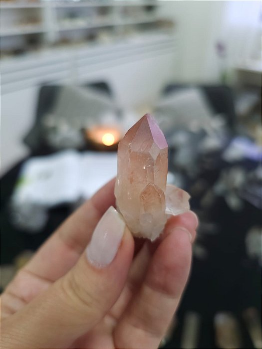 Drusa Pink Ísis e Elo do Tempo Futuro e Passado