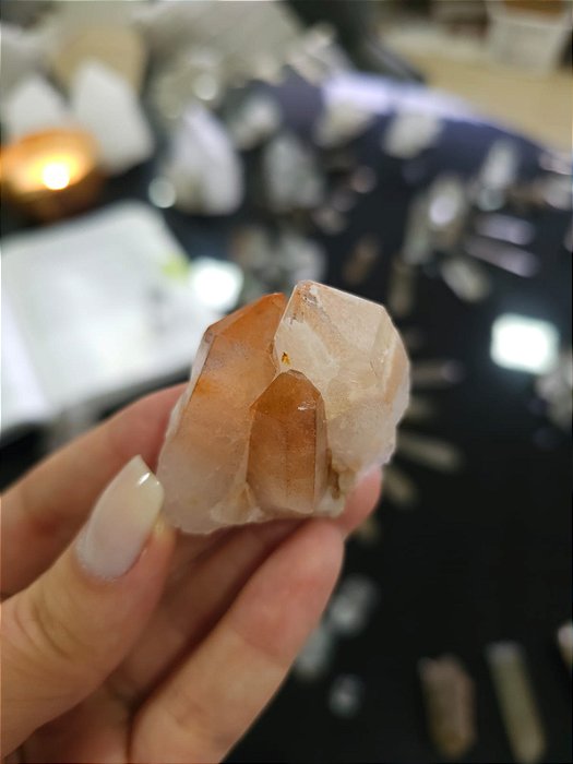 Drusa Tangerina