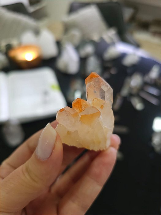 Drusa Tangerina