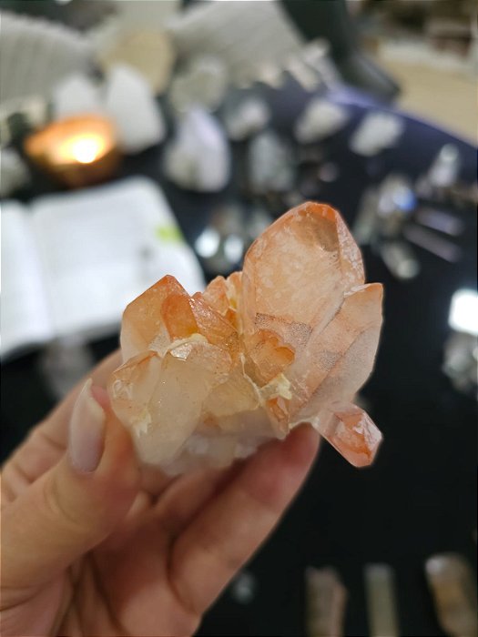 Drusa Tangerina