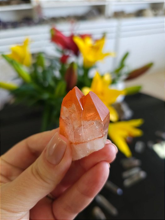 Ponta Tangerina Gêmeo