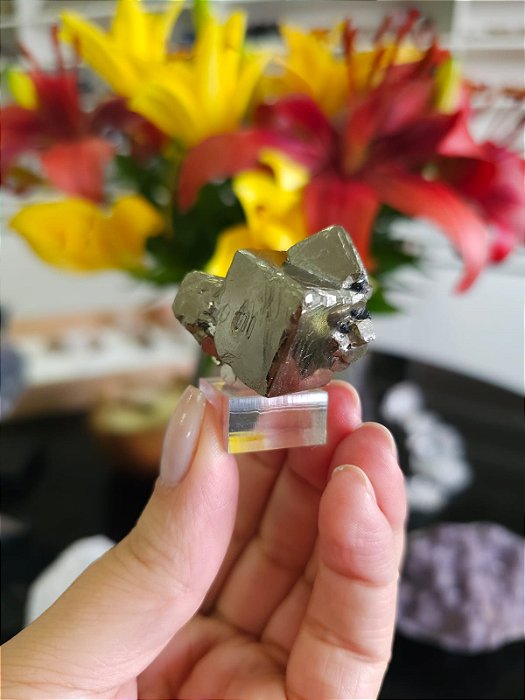 Drusa Pirita Peruana Trigônica