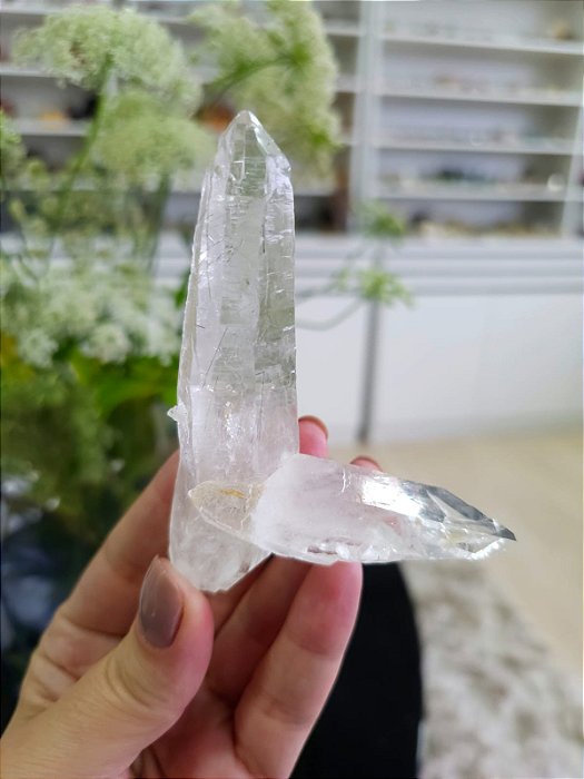 Mestre Ancestral Autocurado com Rutilos Pretos