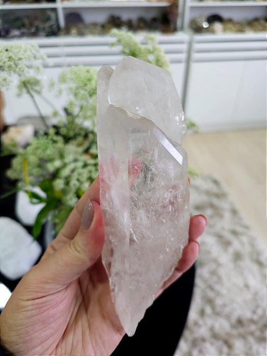 Mestre Autocurado Trigônico